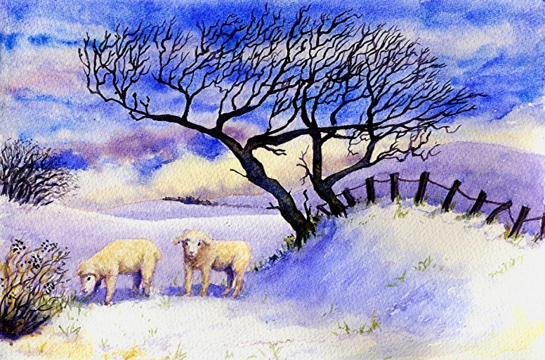 Sheep in the snowsm